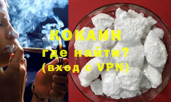 сатива Аркадак