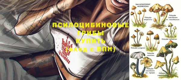 дмт Армянск