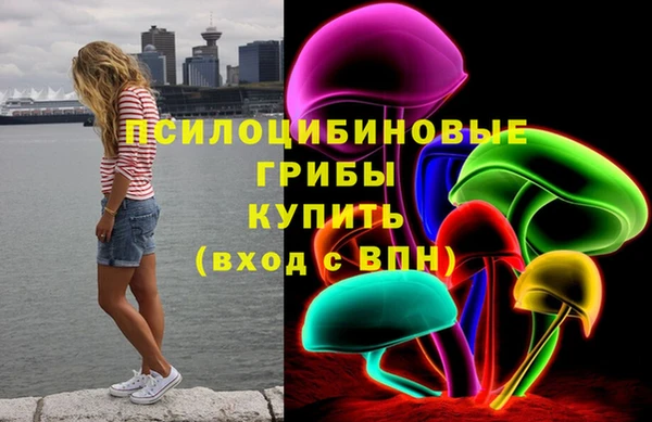 сатива Аркадак