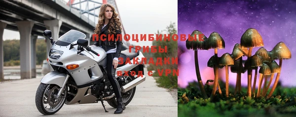 сатива Аркадак