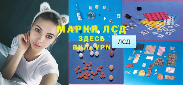сатива Аркадак