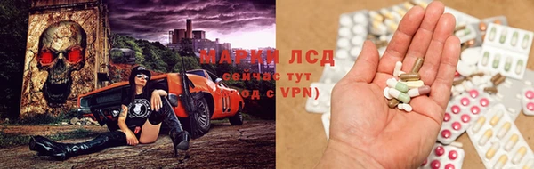 сатива Аркадак