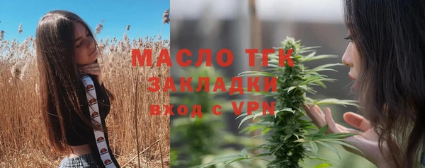 сатива Аркадак