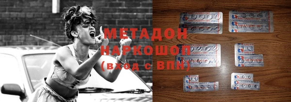 сатива Аркадак